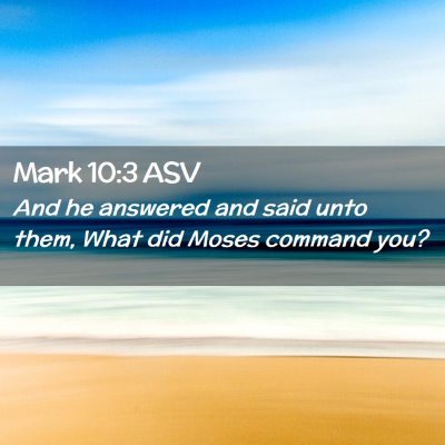 Picture 02 - Mark 10:3 ASV - And he answered and said unto them, What did - Bible Verse Picture