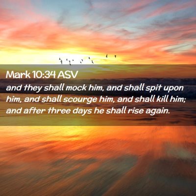 Picture 02 - Mark 10:34 ASV - and they shall mock him, and shall spit upon him, - Bible Verse Picture