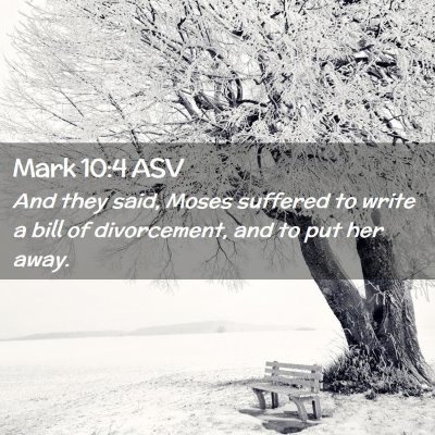 Picture 02 - Mark 10:4 ASV - And they said, Moses suffered to write a bill of - Bible Verse Picture