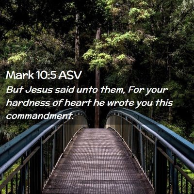Picture 02 - Mark 10:5 ASV - But Jesus said unto them, For your hardness of - Bible Verse Picture