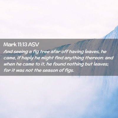 Picture 02 - Mark 11:13 ASV - And seeing a fig tree afar off having leaves, he - Bible Verse Picture