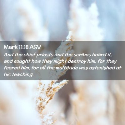 Picture 02 - Mark 11:18 ASV - And the chief priests and the scribes heard it, - Bible Verse Picture