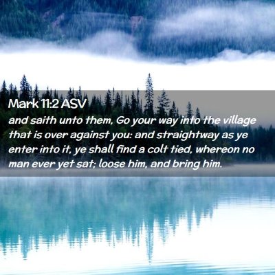 Picture 02 - Mark 11:2 ASV - and saith unto them, Go your way into the village - Bible Verse Picture