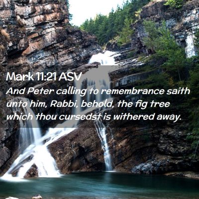 Picture 02 - Mark 11:21 ASV - And Peter calling to remembrance saith unto him, - Bible Verse Picture