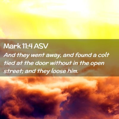 Picture 02 - Mark 11:4 ASV - And they went away, and found a colt tied at the - Bible Verse Picture