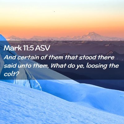 Picture 02 - Mark 11:5 ASV - And certain of them that stood there said unto - Bible Verse Picture