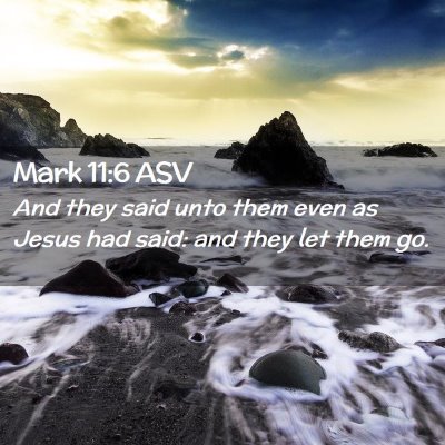 Picture 02 - Mark 11:6 ASV - And they said unto them even as Jesus had said: - Bible Verse Picture