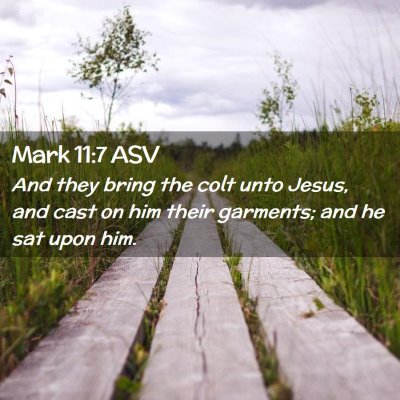 Picture 02 - Mark 11:7 ASV - And they bring the colt unto Jesus, and cast on - Bible Verse Picture