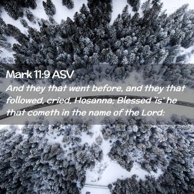 Picture 02 - Mark 11:9 ASV - And they that went before, and they that - Bible Verse Picture