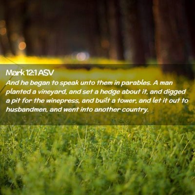 Picture 02 - Mark 12:1 ASV - And he began to speak unto them in parables. A - Bible Verse Picture