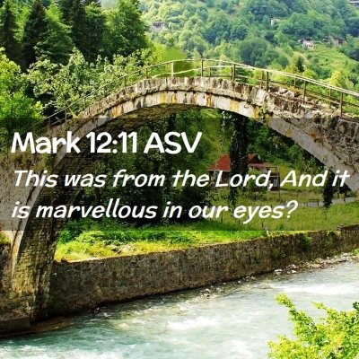 Picture 02 - Mark 12:11 ASV - This was from the Lord, And it is marvellous in - Bible Verse Picture