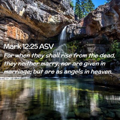 Picture 02 - Mark 12:25 ASV - For when they shall rise from the dead, they - Bible Verse Picture