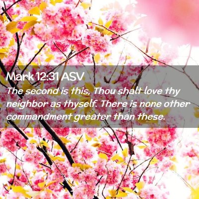 Picture 02 - Mark 12:31 ASV - The second is this, Thou shalt love thy neighbor - Bible Verse Picture