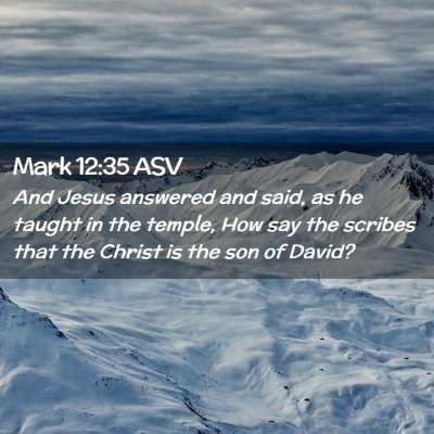 Picture 02 - Mark 12:35 ASV - And Jesus answered and said, as he taught in the - Bible Verse Picture