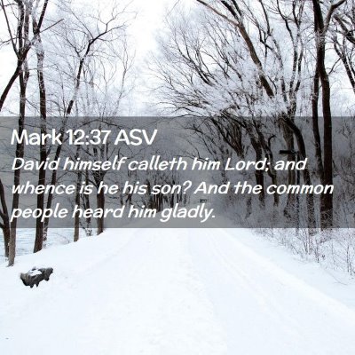 Picture 02 - Mark 12:37 ASV - David himself calleth him Lord; and whence is he - Bible Verse Picture