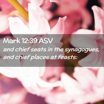 Picture 02 - Mark 12:39 ASV - and chief seats in the synagogues, and chief - Bible Verse Picture