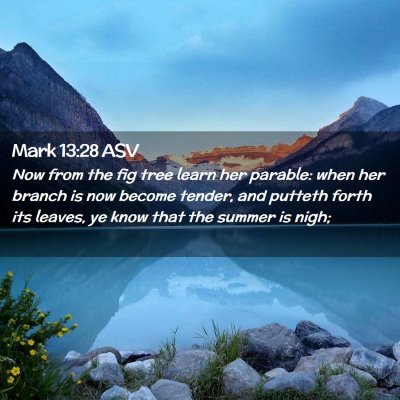 Picture 02 - Mark 13:28 ASV - Now from the fig tree learn her parable: when her - Bible Verse Picture
