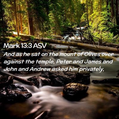 Picture 02 - Mark 13:3 ASV - And as he sat on the mount of Olives over against - Bible Verse Picture
