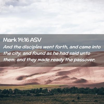 Picture 02 - Mark 14:16 ASV - And the disciples went forth, and came into the - Bible Verse Picture