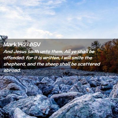 Picture 02 - Mark 14:27 ASV - And Jesus saith unto them, All ye shall be - Bible Verse Picture