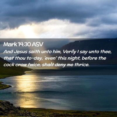 Picture 02 - Mark 14:30 ASV - And Jesus saith unto him, Verily I say unto thee, - Bible Verse Picture