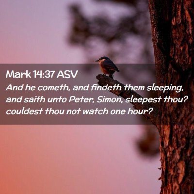 Picture 02 - Mark 14:37 ASV - And he cometh, and findeth them sleeping, and - Bible Verse Picture