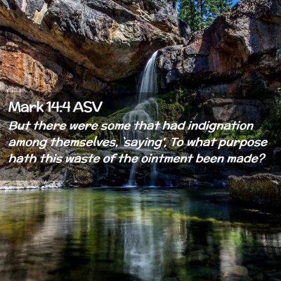 Picture 02 - Mark 14:4 ASV - But there were some that had indignation among - Bible Verse Picture
