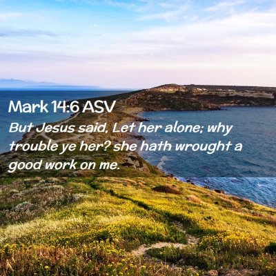 Picture 02 - Mark 14:6 ASV - But Jesus said, Let her alone; why trouble ye - Bible Verse Picture