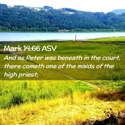 Picture 02 - Mark 14:66 ASV - And as Peter was beneath in the court, there - Bible Verse Picture