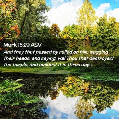 Picture 02 - Mark 15:29 ASV - And they that passed by railed on him, wagging - Bible Verse Picture