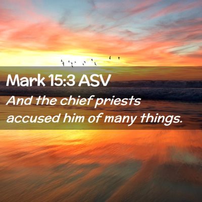 Picture 02 - Mark 15:3 ASV - And the chief priests accused him of many - Bible Verse Picture