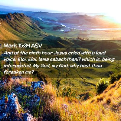 Picture 02 - Mark 15:34 ASV - And at the ninth hour Jesus cried with a loud - Bible Verse Picture