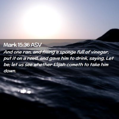 Picture 02 - Mark 15:36 ASV - And one ran, and filling a sponge full of - Bible Verse Picture