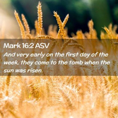 Picture 02 - Mark 16:2 ASV - And very early on the first day of the week, they - Bible Verse Picture
