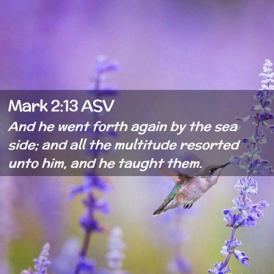 Picture 02 - Mark 2:13 ASV - And he went forth again by the sea side; and all - Bible Verse Picture
