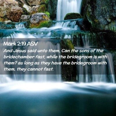 Picture 02 - Mark 2:19 ASV - And Jesus said unto them, Can the sons of the - Bible Verse Picture