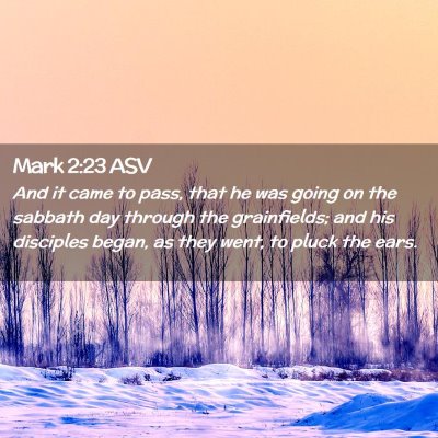 Picture 02 - Mark 2:23 ASV - And it came to pass, that he was going on the - Bible Verse Picture