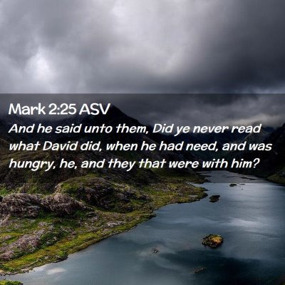 Picture 02 - Mark 2:25 ASV - And he said unto them, Did ye never read what - Bible Verse Picture