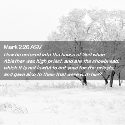 Picture 02 - Mark 2:26 ASV - How he entered into the house of God when - Bible Verse Picture