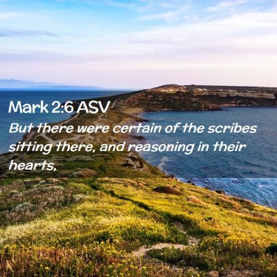 Picture 02 - Mark 2:6 ASV - But there were certain of the scribes sitting - Bible Verse Picture