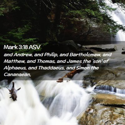 Picture 02 - Mark 3:18 ASV - and Andrew, and Philip, and Bartholomew, and - Bible Verse Picture