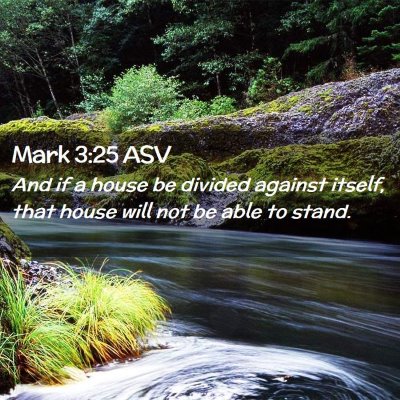 Picture 02 - Mark 3:25 ASV - And if a house be divided against itself, that - Bible Verse Picture