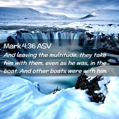 Picture 02 - Mark 4:36 ASV - And leaving the multitude, they take him with - Bible Verse Picture