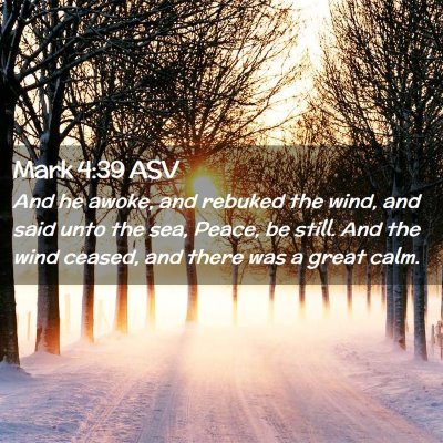 Picture 02 - Mark 4:39 ASV - And he awoke, and rebuked the wind, and said unto - Bible Verse Picture