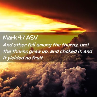 Picture 02 - Mark 4:7 ASV - And other fell among the thorns, and the thorns - Bible Verse Picture