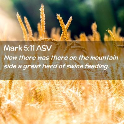 Picture 02 - Mark 5:11 ASV - Now there was there on the mountain side a great - Bible Verse Picture