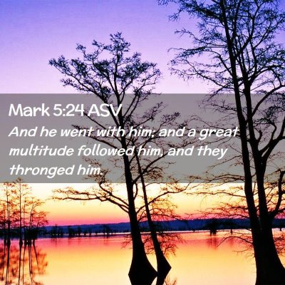 Picture 02 - Mark 5:24 ASV - And he went with him; and a great multitude - Bible Verse Picture