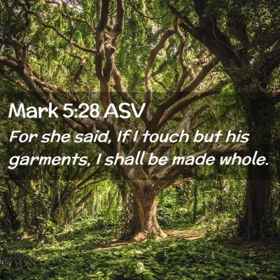 Picture 02 - Mark 5:28 ASV - For she said, If I touch but his garments, I - Bible Verse Picture