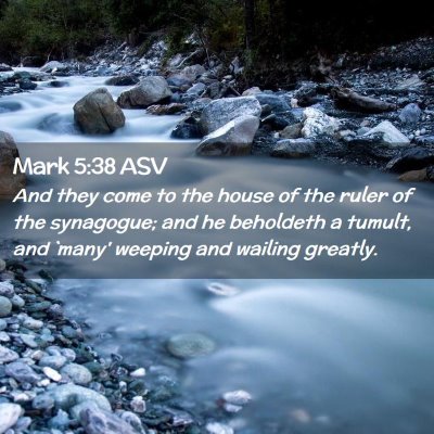 Picture 02 - Mark 5:38 ASV - And they come to the house of the ruler of the - Bible Verse Picture
