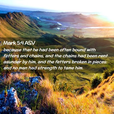 Picture 02 - Mark 5:4 ASV - because that he had been often bound with fetters - Bible Verse Picture